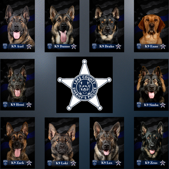 Sheriff's Office K9 team