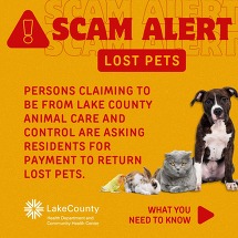 Lost pet Scam