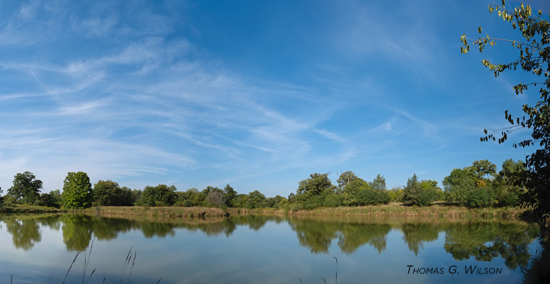 Kestrel Ridge Forest Preserve