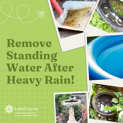 Remove standing water after heavy rain! Includes pictures of standing water in kiddie pools, bird baths, planters, shovels, and tires.