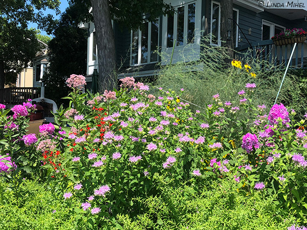 Home garden