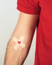 Blood Donor