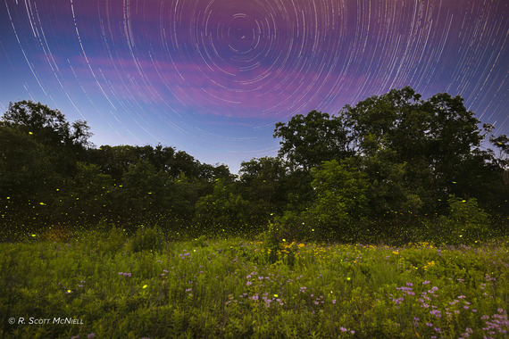 Summer Horizons