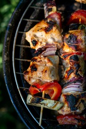 Food on the grill