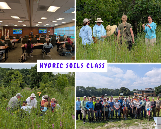 Hydric Soils Class