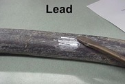 Lead Pipe 