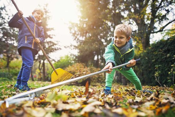fall leaves raking