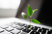 Sustainability plant growing from computer
