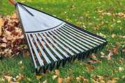 Rake used for raking leaves