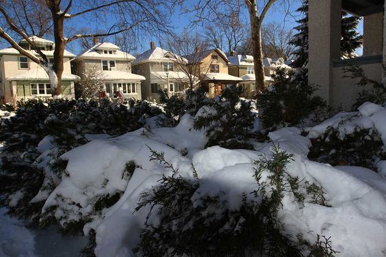 Oak Park houses in snow