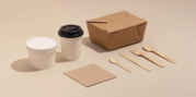 Disposable foodware