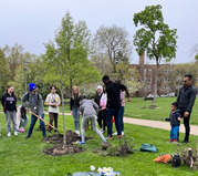 Arbor Day tree planting event at Mills Park