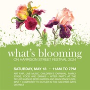 What's Blooming on Harrison graphic