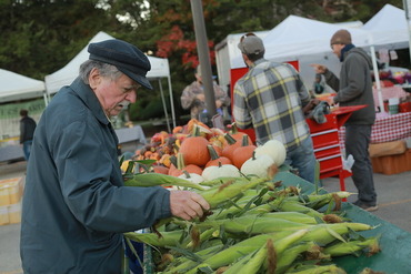 Oak Park Farmers Market corn