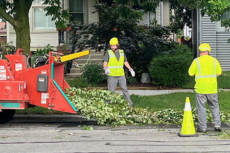 Public Works crews clean up downed branches on Lombard Ave. on  July 16, 2024