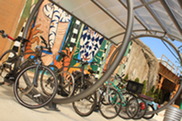Bike shelter near Ridgeland and South - bike rack bicycle shelter