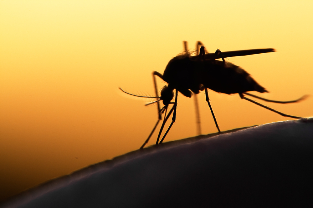 Mosquito West Nile Virus spraying