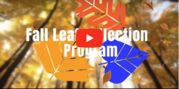 Leaf collection video screenshot