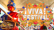 Viva Festival graphic