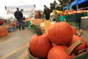 Pumpkins at the Oak Park Farmers' Market 