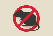 Rodent proofing graphic
