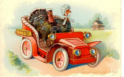 Thansgiving turkey car parking graphic