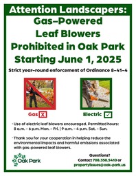 Leaf blower informational flyer