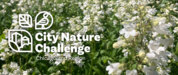 City Nature Challenge graphic