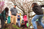 Village Forester Grant Jones at an Arbor Day tree planting event in Carroll Park on April 25, 2025.