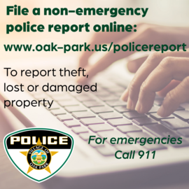 Online police report graphic