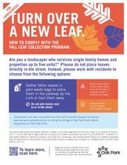 2025 Leaf Collection Landscaper Flyer