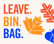 Leave Bin Bag graphic cropped