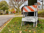 Construction traffic control devices against a tree in Oak Park