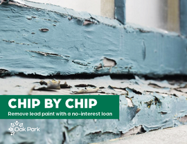 Rehab loan graphic - chip by chip