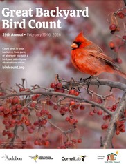 Great Backyard Bird Count 2026 graphic