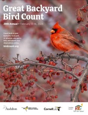 Great Backyard Bird Count 2026 graphic