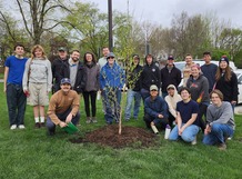 Village staff and volunteers deliver a tree at Village Hall as part of the Climate Canopy program.