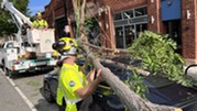 Forestry Division crews clean up after severe thunderstorms pushed through Oak Park in June 2026