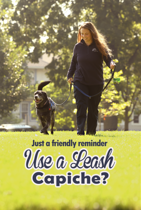 Use a leash capiche graphic with person walking with a dog on a leash