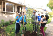 Sustainability Coordinator Malcolm Mossman joins volunteers in planting a tree for a resident as part of the Climate Ready Canopy program.
