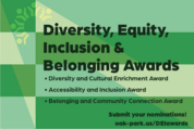 DEI Awards infographic listing different award categories
