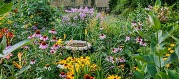 Pollinator garden example