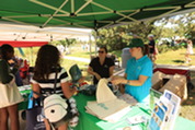 Public Health Department staff hands out bike helmets at Barrie Fest.