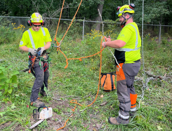 Forestry Division staff volunteers at Fort Sheridan National Cemetery through the Saluting Branches program.
