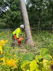 Forestry Division staff volunteers at Fort Sheridan National Cemetery through the Saluting Branches program.