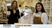 Screenshot of CBS 2 Chicago's Jacki Kostek at Sea Love in Oak Park as part of a Jumpstart with Jackie feature on Oak Park businesses.