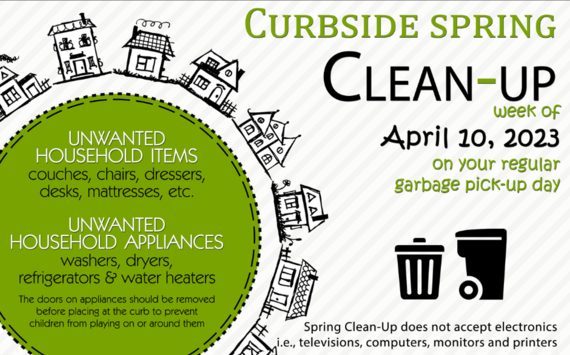 Spring Clean Up