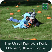 Great Pumpkin Party