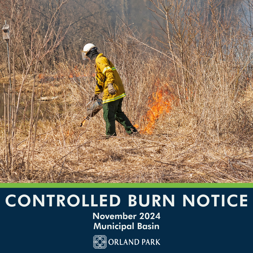 Controlled Burn