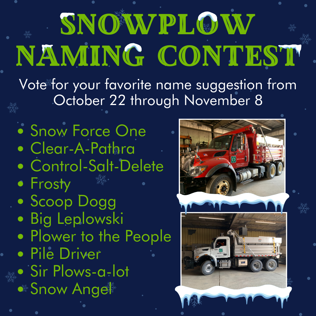 Snowplow Naming Round 2